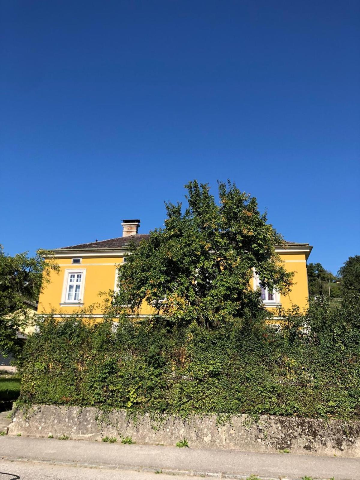 Loewenzahn Scheibbs Exterior foto